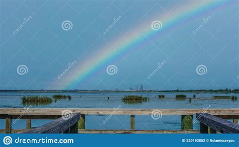 Rainbow Over Alabama Swamp Landscape In Summer Stock Photo Image Of