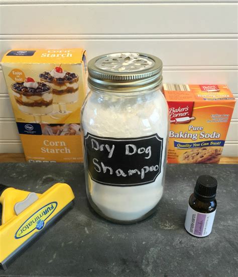 This simple diy dry shampoo recipe refreshes hair and removes excess oils from your roots in between washes. Itch Relief Dry Shampoo for Dogs Recipe | Budget Earth