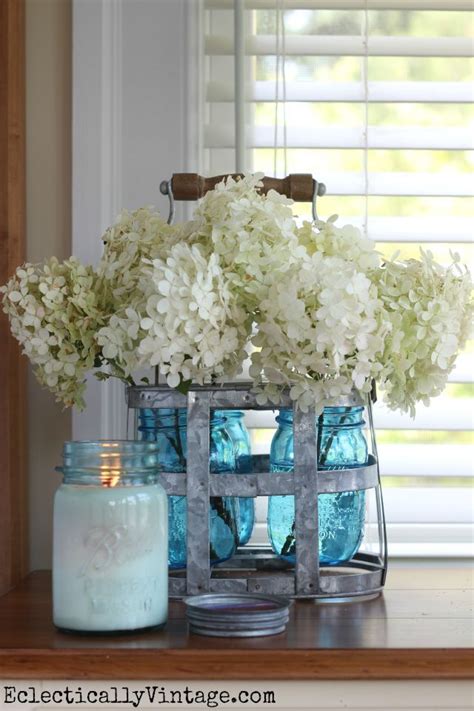 Again, it's not life and death if you do not prune any of your hydrangeas. My Favorite Sun Loving Hydrangeas | Limelight hydrangea ...