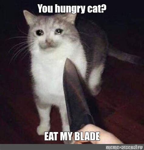 Meme You Hungry Cat Eat My Blade All Templates Meme Arsenal Com
