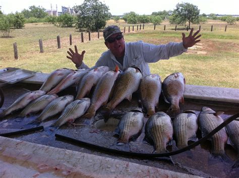 Fishing Guide Service - Alamo Texas Fishing - Braunig Lake & Calaveras
