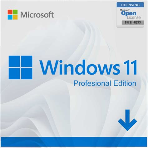 Windows 11 Professional Pro Product Key License