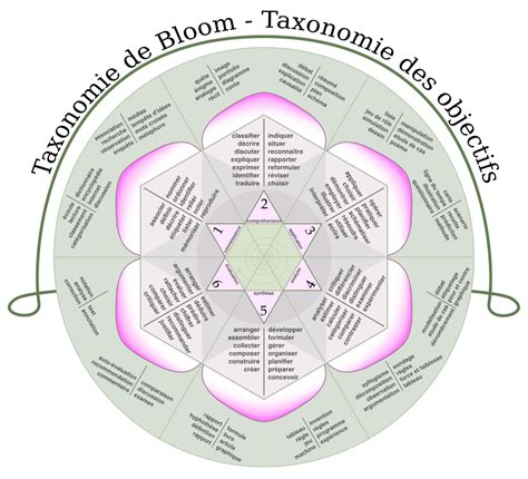 Cest Quoila Taxonomie De Bloom Edumoov Le Blog