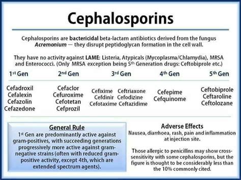 Cephalosporin Structure Classification Clinical Use And Mode Of