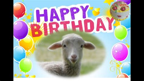 Funny Lamb Singing Happy Birthday Youtube