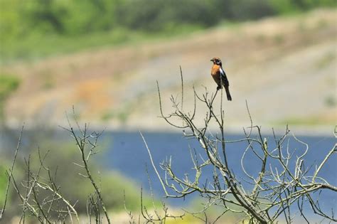 Learn vocabulary, terms and more with flashcards, games and other study tools. Environmental Responsibility - Hatch Mansfield