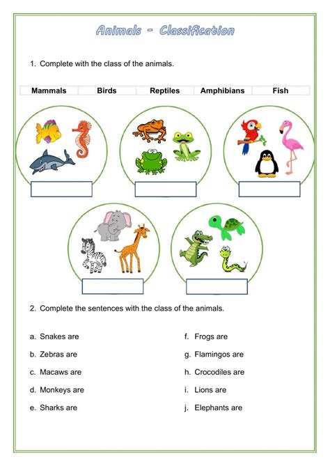 Wild animals - Classification worksheet