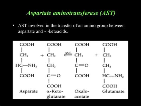 Liver Enzymes Ast Alt And Alp