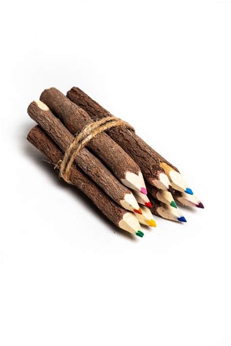 Twig Colour Pencils X 10 Plastic Free Party Bags