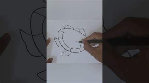 Cara Mudah Menggambar Kura Kura Short Drawing Shorts Youtube