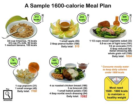 Sample 1600 Calorie Meal Plan Hot Sex Picture