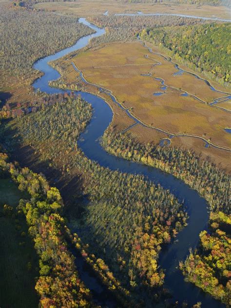 We did not find results for: High Tor Wildlife Area - Go Finger Lakes