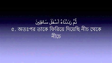 Sura At Tin 95 Mishary Al Afasy Bangla Translation Youtube