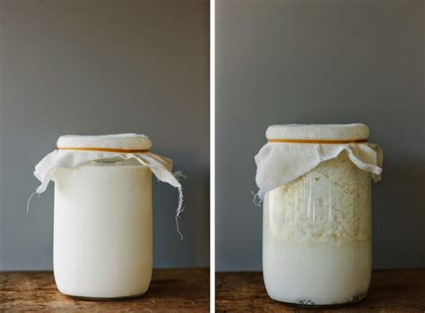 Jan 11, 2012 · in all honesty my store can get glasses done in about an hour 80% of the time, but my store has a full lab. How to Make Nutritious Milk Kefir at Home