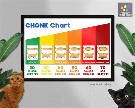 The Chonk Chart Female Cat Weight Gain Poster Veterinary Wall Art