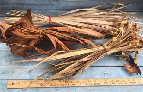 Palm Fronds Fibers Inflorescence Stems Tropical Basket Weave Etsy