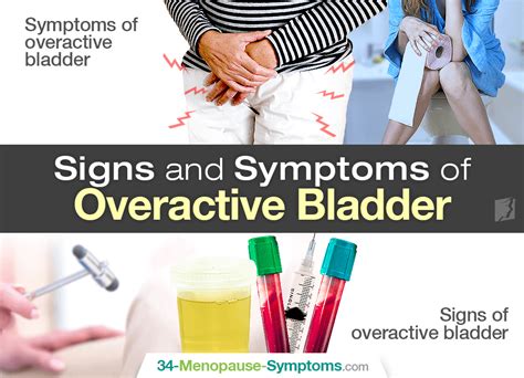 Overactive Bladder Symptoms Hot Sex Picture