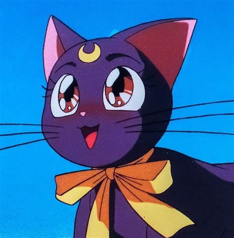 Image Sailor Moon Aesthetic Aesthetic Art Aesthetic Anime Cat Anime