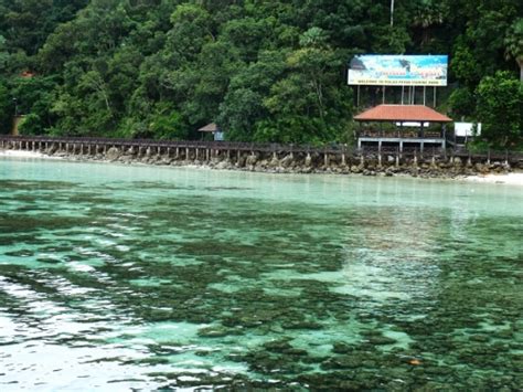 Bertanam dengan sawit di malaysia iaitu 5.64 juta hektar. Tempat Pelancongan Di Malaysia ^o^: Negeri Kedah