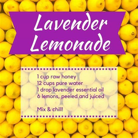 Lavender Lemonade Lavender Lemonade Lavender Essential Oil