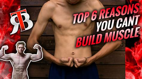 Top 6 Reasons You Cant Build Muscle