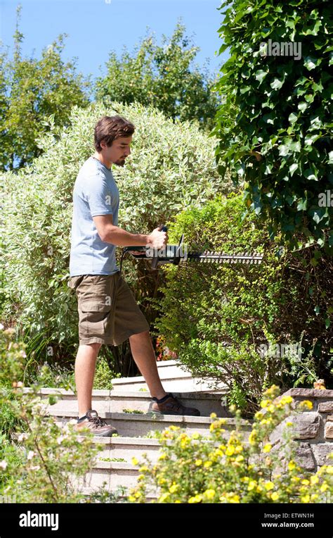 Young Man Pruning Hedge With Electric Saw Stock Photo Alamy