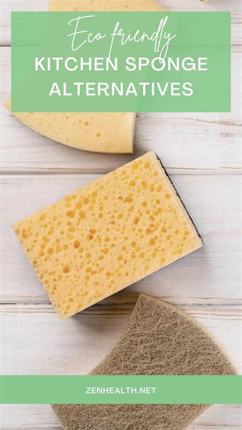 6 Kitchen Sponge Alternatives To Try Zenhealth