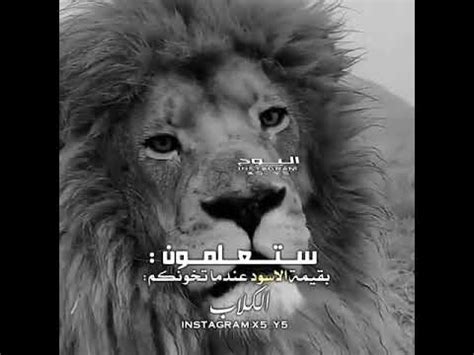 كان الملك حسين يرغب بتوجيه ضربة عسكرية محدودة قد تحصر النشاط العسكري للفصائل داخل المخيمات وتعيد هيبة الدولة، بينما كانت المؤسسة العسكرية تنزع إلى توجية الضربة. ‫هيبه الاسد‬‎ - YouTube