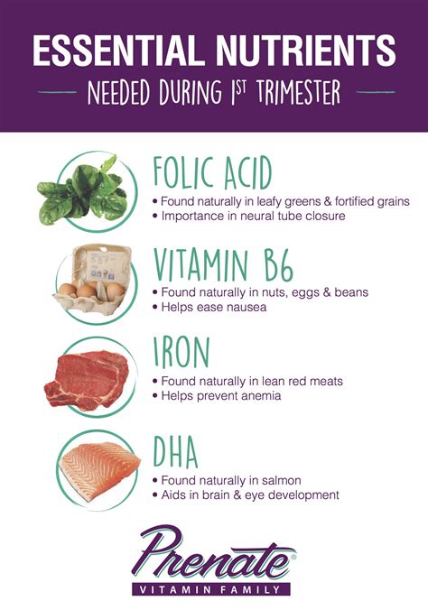 Essential Nutrients In Your Prenatal Diet 1st Trimester Prenate