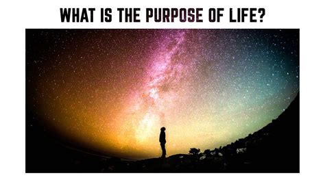 What Is The Purpose Of Life Does It Really Exist Motivational Quote