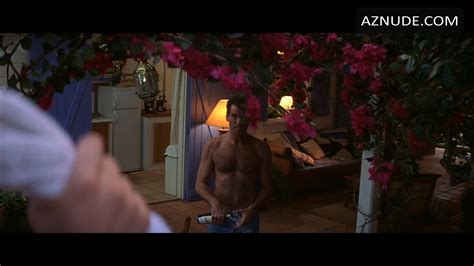 Pierce Brosnan Nude Aznude Men
