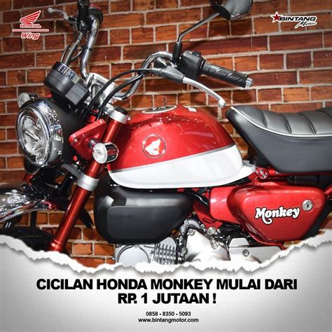 Cicilan Honda Monkey Mulai Dari Rp Jutaan Honda Bintang Motor