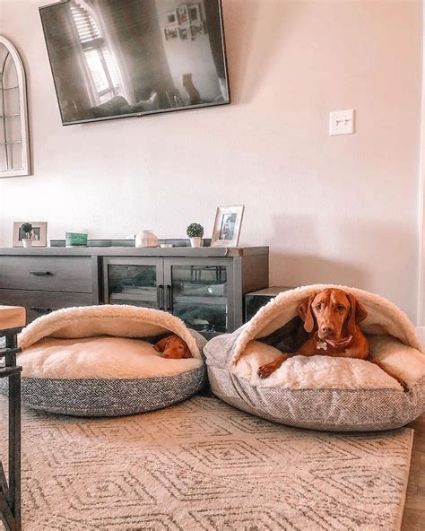 Luxury Cozy Cave Show Dog Collection Snoozer Cozy Cave Dog Bed