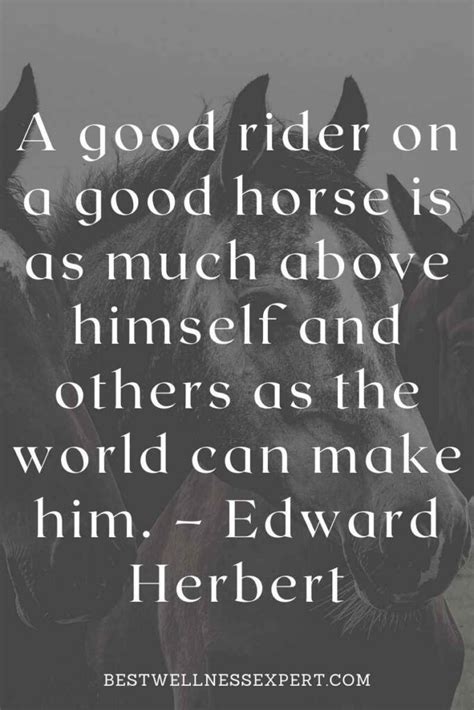100 Horseback Riding Quotes That Will Inspire You