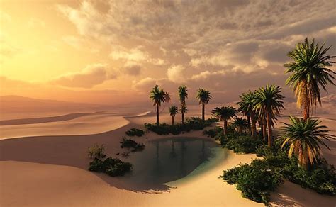 What Is The Importance Of Oasis In A Desert Worldatlas