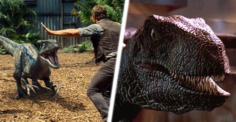 Jurassic Parkworld The 10 Best Scenes Featuring Velociraptors Ranked