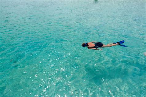 Editors Picks Best Snorkeling In The Caribbean Bahamas Island Island