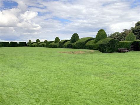 Yew Topiary At Chirk Castle © Richard Hoare Geograph Britain And Ireland