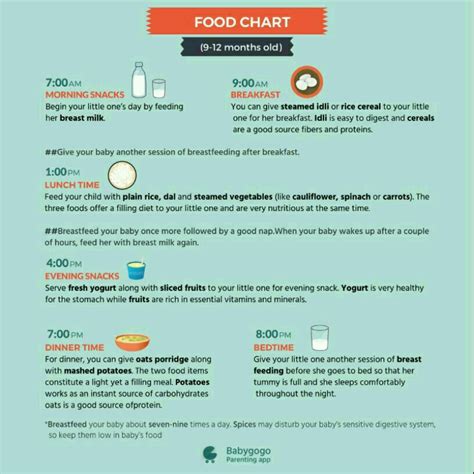 plz suggest food chart for 9 month baby boy
