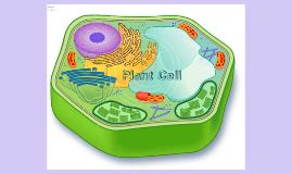 Teaching tools in plant biology. Plant Cell in Real Life by Kailey Drennon on Prezi