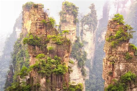 Parc Forestier De Zhangjiajie Province De Hunan La Chine Floue Image