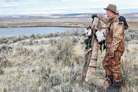 10 Great Destinations For Public Land Hunting Gun Dog