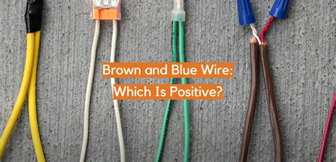 Brown And Blue Wire Which Is Positive Electronicshacks