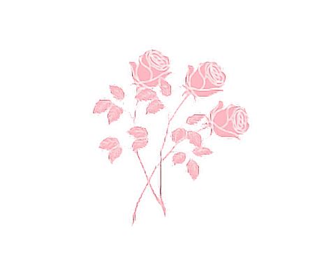 Roses Pink Aesthetic Soft Cute Soft Pantone Rose Art