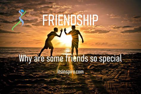 Friendship: why are some friends so special? | Friendship quotes