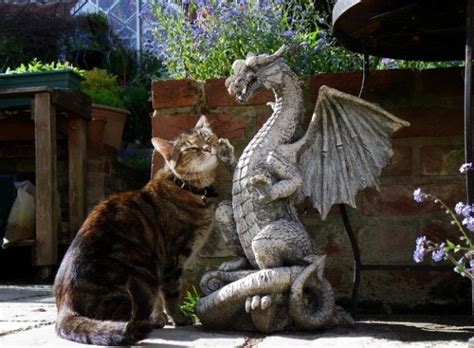 Ten Real Cats Who Have A Dragon As A Best Friend