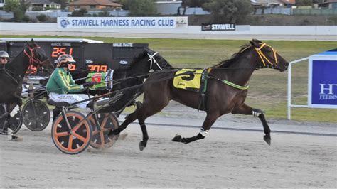 harness racing returns this monday from the sulky the wimmera mail times horsham vic