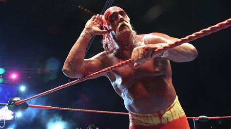 Hulk Hogan Fired By Wwe Over Racial Tirade