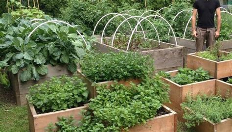 Five Of The Coolest Urban Farms In The Us Food Dive