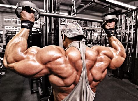 Best Top 8 Arms In Bodybuilding History Page 7 Of 8 Fitness Volt